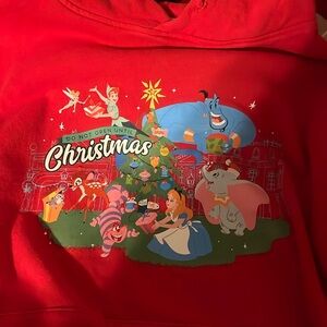 Walt Disney world Christmas hoodie